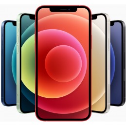APPLE IPHONE 12 USATO...